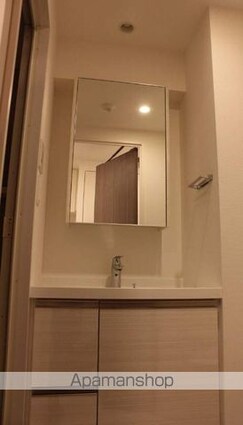 パークアクシス横濱大通り公園[1K/24.96m2]の洗面所