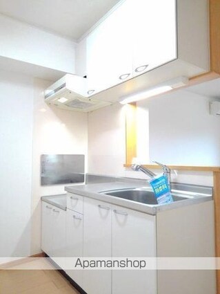 アウローラ[2LDK/54.85m2]のキッチン