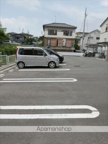 ルピナスAのその他写真