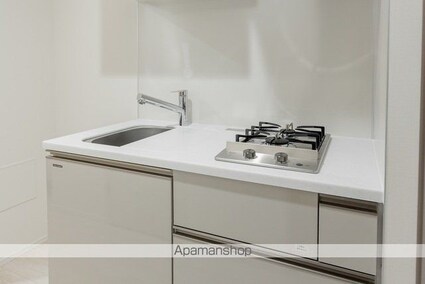 テラス月島[1K/25.15m2]のキッチン2