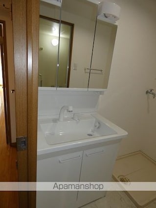 ア・ドリームＹＡＭＡＳＨＩＮ[2LDK/62.13m2]の洗面所