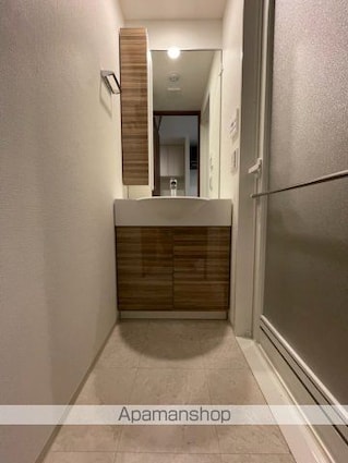 ガーラ・プレシャス四ツ木[2K/25.51m2]の洗面所