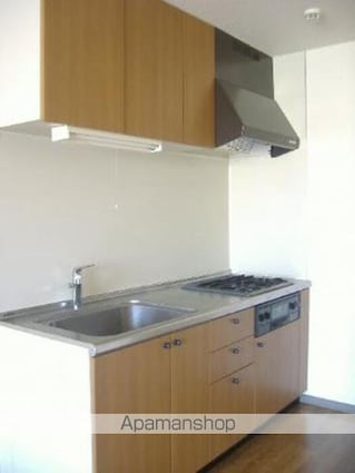 グリーンハイム藤[3LDK/65.06m2]のキッチン