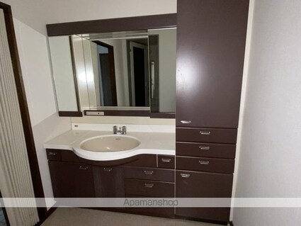 ローズ・シャンブル[3LDK/71.71m2]の洗面所