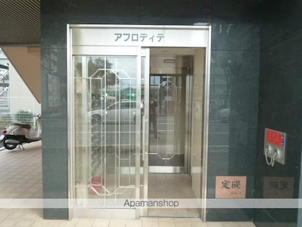 アフロディテ[1K/29.39m2]のエントランス2