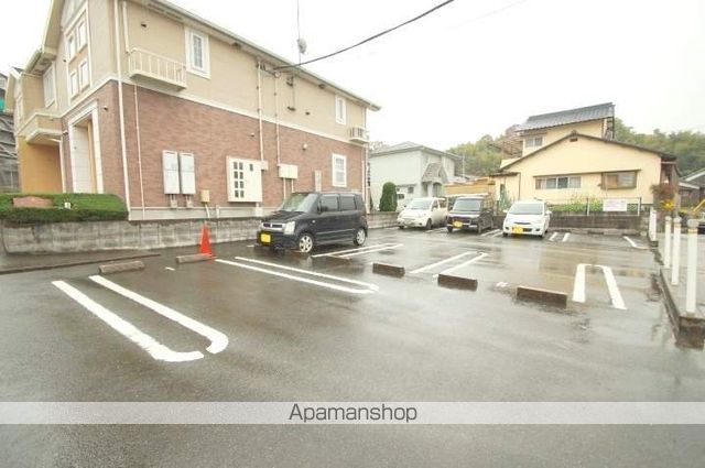 サンセベリアのその他写真