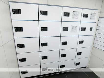 ジェノヴィア京成立石Ⅳスカイガーデン[1K/24.07m2]の共用部2