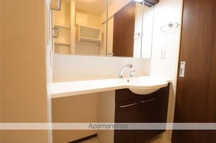 サンヒルズヴィラカインドネス　Ｉ[2LDK/54.87m2]の洗面所