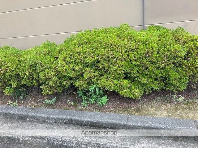 レオパレス明和の内装写真