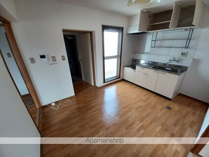 ハイツウイング金子[2DK/43m2]のキッチン