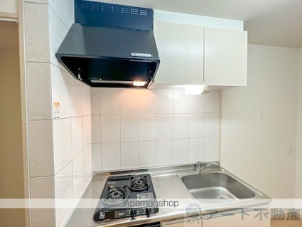 シルバーアース[1K/29.75m2]の内装2