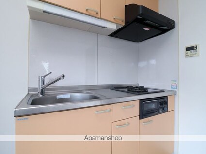 アクシス[1LDK/44.46m2]のキッチン