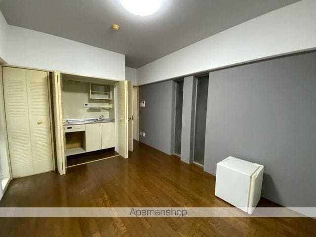 ａｍ’ｓⅡ[1R/20.48m2]のその他部屋・スペース