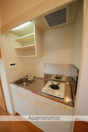 サザンタチエイ[1R/24.51m2]のキッチン