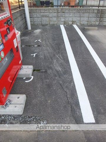 セルティアマーユのその他写真