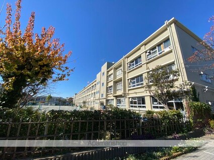 ボワエトワール立石[1DK/36.43m2]の周辺5