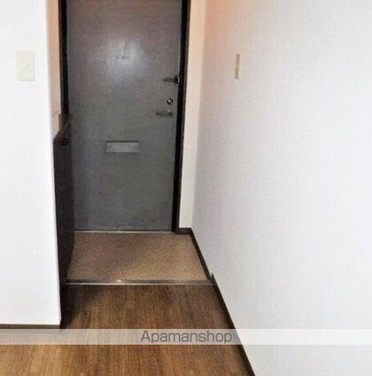 フィネス秋桜[1DK/37.28m2]の玄関