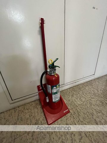 アミィヒルズのその他写真