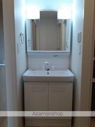 アイダッシュⅡ[2LDK/66.02m2]の洗面所