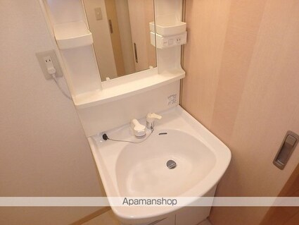 ルミエール沙羅[1LDK/43.75m2]の洗面所