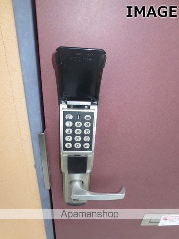 サンズ杉の木の内装写真