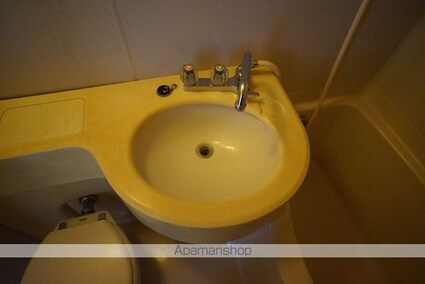 ライオンズマンション新宿東公園[1K/22.8m2]の洗面所