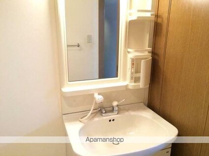 花房国分寺マンション[3LDK/55.5m2]の洗面所