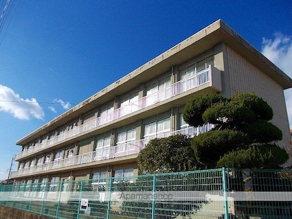 サンハイツ近田Ａ[2DK/40.04m2]の周辺3