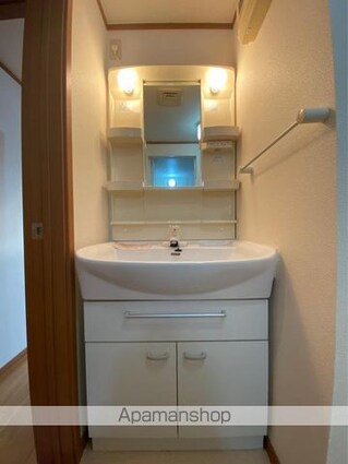 グレイスフルＢ[2DK/56.99m2]の洗面所