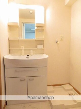 メゾンド﨔[1R/31.01m2]の洗面所