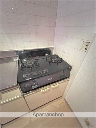 アビタシオン[2LDK/53.3m2]のキッチン2