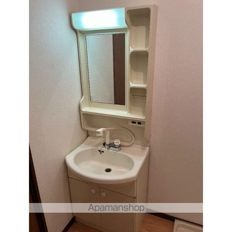 Ｌｉｍｐｉａプレステージサザン[1LDK/43.74m2]の洗面所