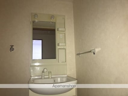 グリーンロック[2LDK/51.3m2]の洗面所