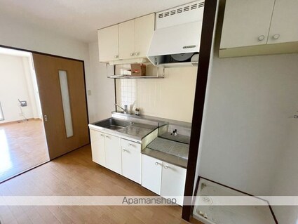 Ｓｕｒｐｌｕｓガーデンパレス[1K/28.03m2]のキッチン