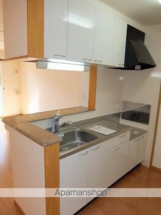 ベル・ル・ジャルダン　Ⅱ[1LDK/48.39m2]のキッチン