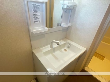 ＭＡＩＳＯＮ　ＬＡＳＴ　ＷＩＳＴＥＲＩＡ[1R/33.35m2]の洗面所