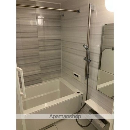 セザールアクアフロント勝どきウエスト[1SLDK/55.19m2]のその他内装9