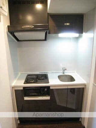 ヴェローナ阿佐谷南[1K/24.01m2]の内装4