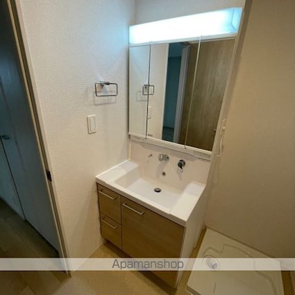 グラス　トゥリーズⅡ[1LDK/44.01m2]の洗面所