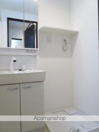 ピアコートＴＭ富士見台弐番館[1K/21.3m2]の洗面所