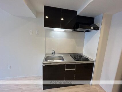 ピーニャ市川[1LDK/33.15m2]のキッチン