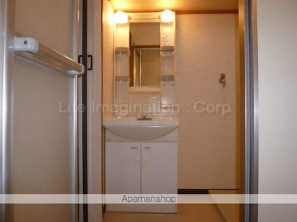 グリーンビュー[2DK/45.72m2]の洗面所