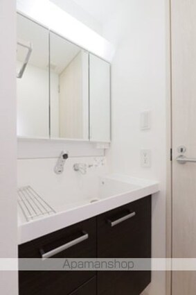 Ｔ．ｂｒａｎｄ世田谷[1K/28m2]の洗面所