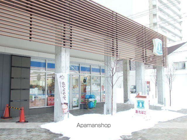 ラフィネタワー札幌南3条の周辺写真