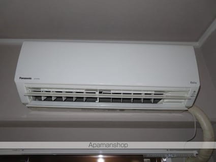 ジョイフル住吉[1R/19.8m2]の内装3