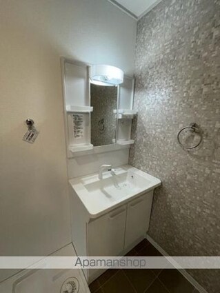 セジュール大田　Ａ棟[2LDK/58.13m2]の洗面所