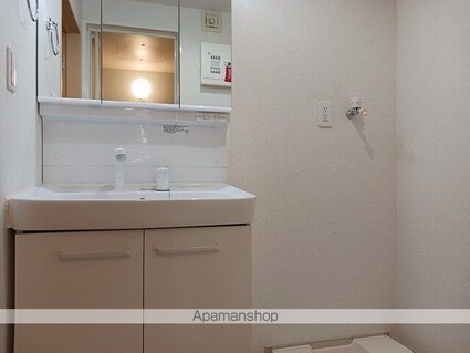 サニー　セイバリ　Ⅳ[2LDK/61.45m2]の洗面所