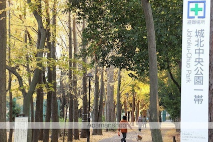 ベルシード氷川台[1K/27.58m2]の周辺5