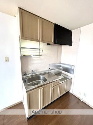 サンビレッジ大慶Ｃ[2DK/52.84m2]のキッチン