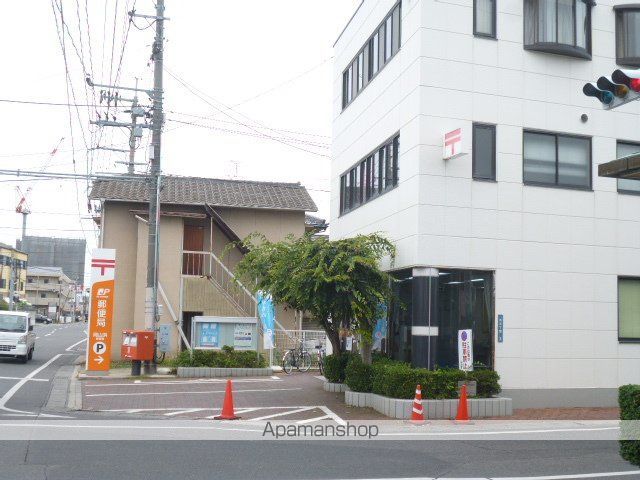 カンファ―ツリーの周辺写真
